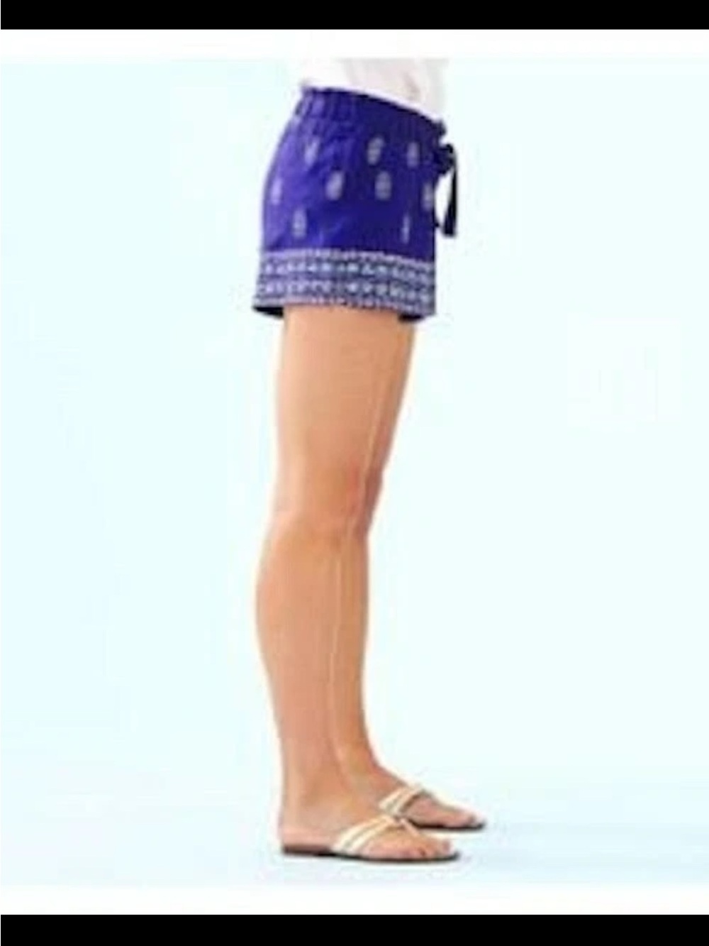 NWOT Lilly Pulitzer Lapis Lazuli Lovely lanterns Arey Linen Shorts - Picture 4 of 12